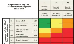 Tabela prognozy PChN wg KDIGO 2012. GFR co to za badanie? Pokazuje kategorie GFR i albuminurii, od zielonego (niski ryzyko) do czerwonego (wysokie ryzyko).