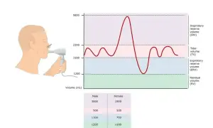 Graficzna prezentacja badania spirometria: człowiek z ustnikiem, wykres objętości płuc i tabela danych.