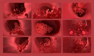 Wizualizacja przepływu erytrocytów w naczyniu krwionośnym. Widok z bliska na czerwone krwinki, niektóre skupione, inne rozproszone, tworzące eliquis.