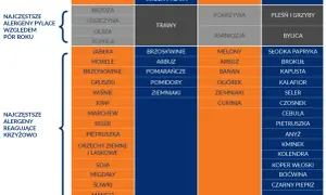 Tabela z listą alergenów pyłkowych i krzyżowych oraz sezonami ich występowania.