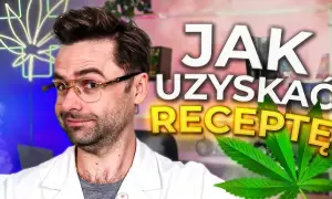 Medyczna marihuana: Gdzie kupić legalnie i jak uzyskać receptę?