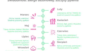Alergia na pyłki drzew: Jak przetrwać wiosnę bez kataru?
