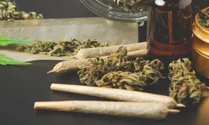 THC w medycznej marihuanie? Co musisz wiedzieć o leczeniu w Polsce