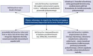 Ból brzucha: jakie badania wykonać? Przewodnik po diagnozie