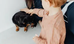Alergia na psa u dziecka? Życie z pupilem jest możliwe!
