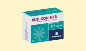 Opakowanie leku budezonid lek-am Budixon Neb 0,5 mg/ml, zawiesina do nebulizacji. Zawiera 20 ampułek po 2 ml.