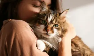 Czy alergia na kota mija sama? Odczulanie to szansa!