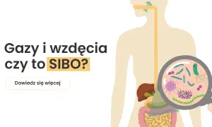 Gazy i wzdęcia mogą być objawem SIBO. Ilustracja przedstawia układ pokarmowy i powiększone bakterie.