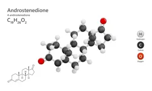 Model cząsteczki androstendionu, steroidu z grupy androgenów, z atomami węgla (czarne), wodoru (białe) i tlenu (czerwone).