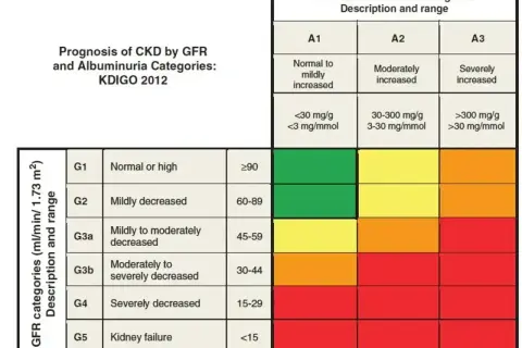 Tabela prognozy PChN wg KDIGO 2012. GFR co to za badanie? Pokazuje kategorie GFR i albuminurii, od zielonego (niski ryzyko) do czerwonego (wysokie ryzyko).