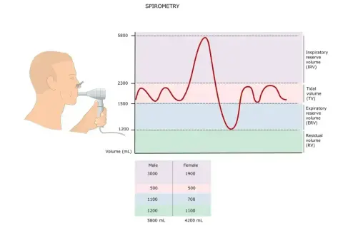 Graficzna prezentacja badania spirometria: człowiek z ustnikiem, wykres objętości płuc i tabela danych.