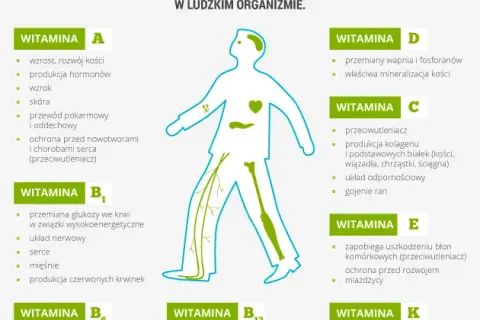 Niedobór witaminy B2: objawy, przyczyny i jak uzupełnić?
