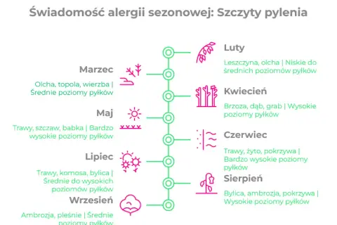 Alergia na pyłki drzew: Jak przetrwać wiosnę bez kataru?