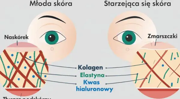 Niedobór kolagenu? Odkryj, co naprawdę działa na skórę i stawy
