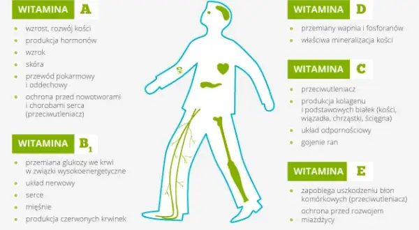 Niedobór witaminy B2: objawy, przyczyny i jak uzupełnić?