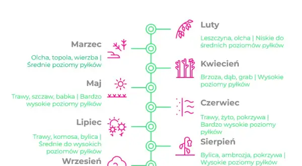 Alergia na pyłki drzew: Jak przetrwać wiosnę bez kataru?