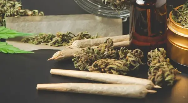 THC w medycznej marihuanie? Co musisz wiedzieć o leczeniu w Polsce