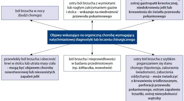Ból brzucha: jakie badania wykonać? Przewodnik po diagnozie
