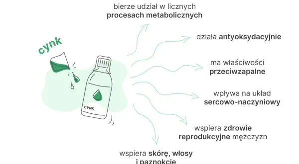 Niedobór cynku i miedzi: Jak rozpoznać sygnały alarmowe ciała?
