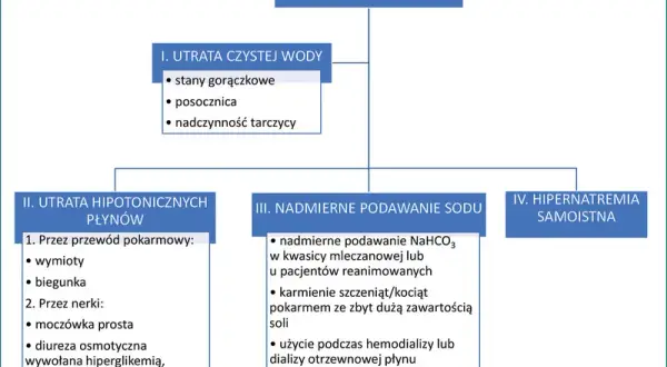 Niedobór potasu u kota: 7 objawów, przyczyny i leczenie poradnik