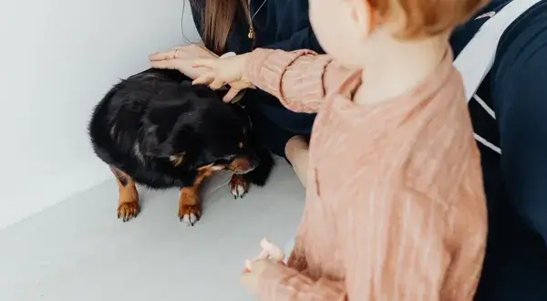 Alergia na psa u dziecka? Życie z pupilem jest możliwe!