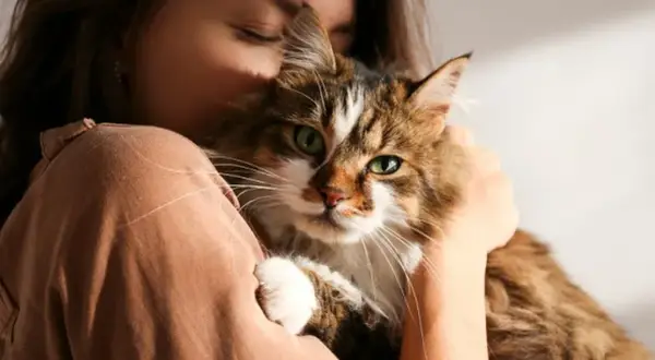 Czy alergia na kota mija sama? Odczulanie to szansa!