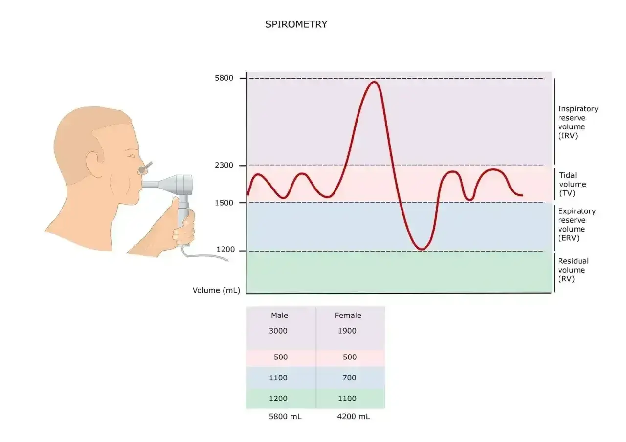 Graficzna prezentacja badania spirometria: człowiek z ustnikiem, wykres objętości płuc i tabela danych.