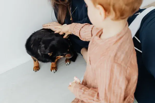 Alergia na psa u dziecka? Życie z pupilem jest możliwe!