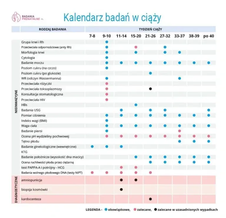 Kiedy pierwsze badania prenatalne? Terminy, USG, PAPP-A i refundacja