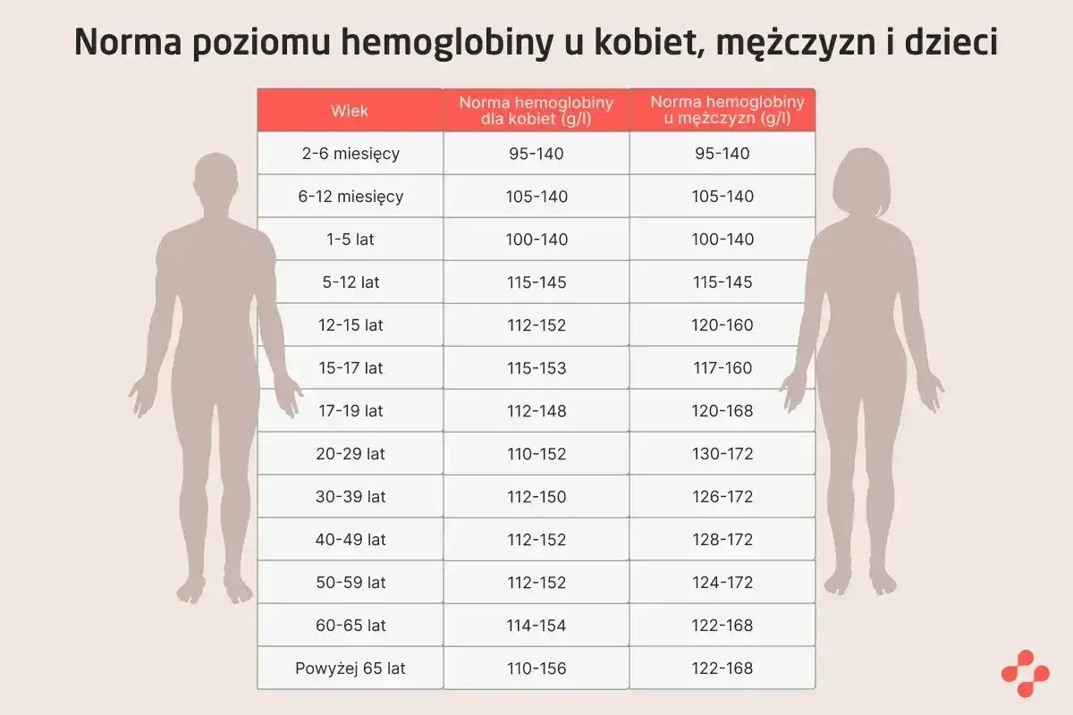 Tabela przedstawia normę hemoglobiny dla kobiet i mężczyzn w różnym wieku. Sprawdź, czy Twoja hemoglobina jest w normie.