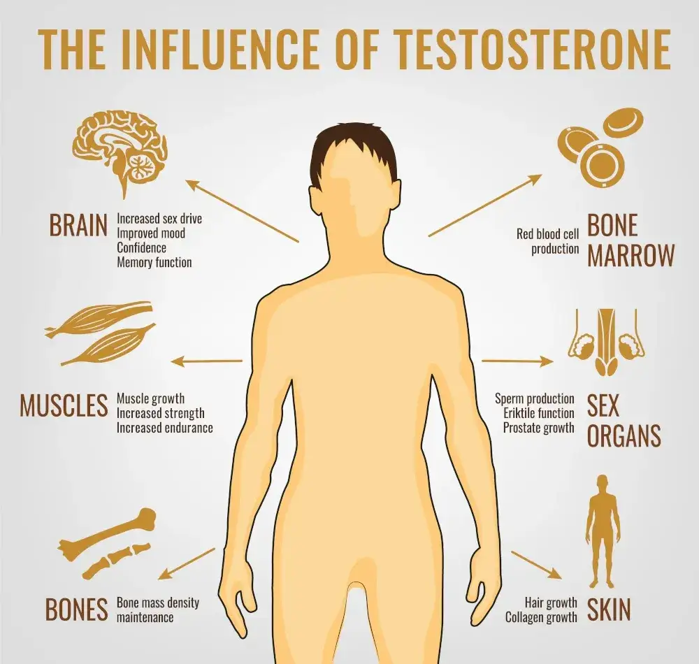Objawy niedoboru testosteronu u mężczyzn infografika
