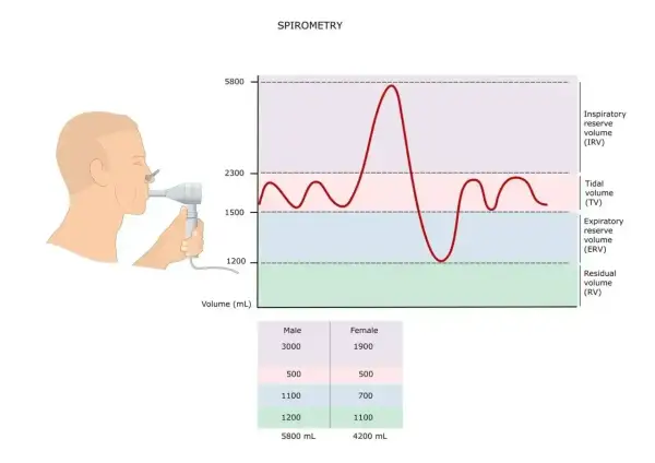 Graficzna prezentacja badania spirometria: człowiek z ustnikiem, wykres objętości płuc i tabela danych.
