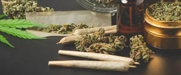 THC w medycznej marihuanie? Co musisz wiedzieć o leczeniu w Polsce