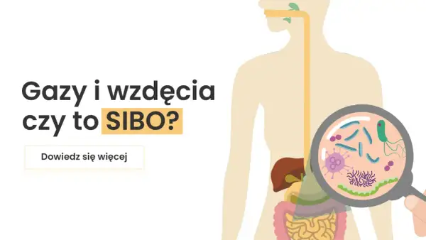 Gazy i wzdęcia mogą być objawem SIBO. Ilustracja przedstawia układ pokarmowy i powiększone bakterie.