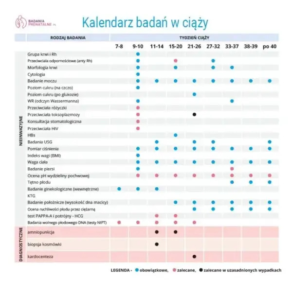 Kiedy pierwsze badania prenatalne? Terminy, USG, PAPP-A i refundacja